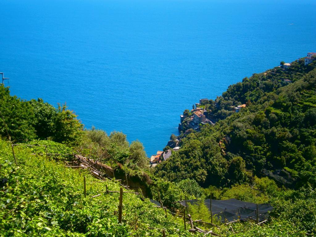 Villa En Rose Ravello Room photo